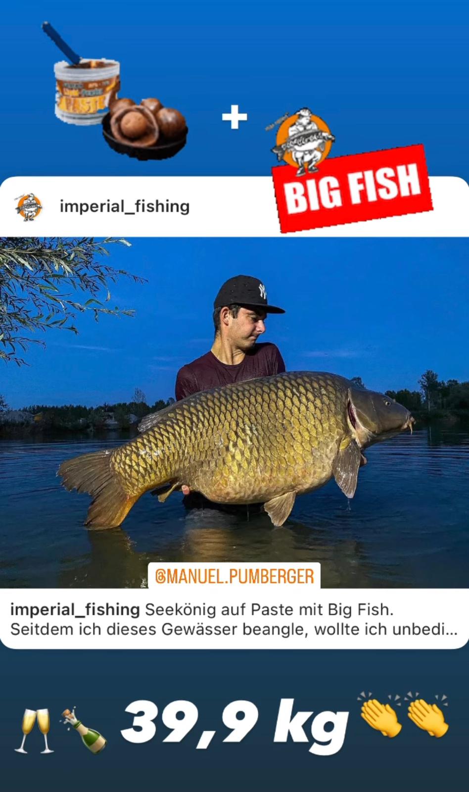 Tandem Baits Karpfen Boilies 18mm | 1kg Köder Für Großfisch-Angeln | Lockstoff-Boilies Für Profi- Und Hobbyangler